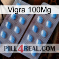 Vigra 100Mg viagra4